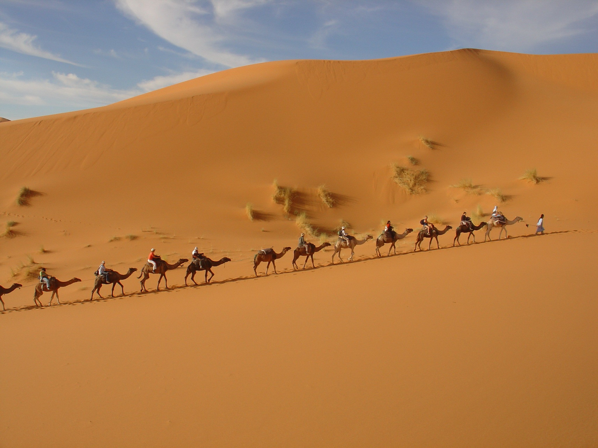 Camel trekking in Merzouga